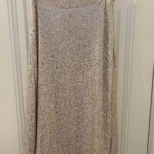 Anthropologie Glittering Silver Midi Skirt